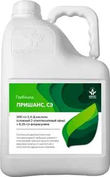 Пришанс, СЭ