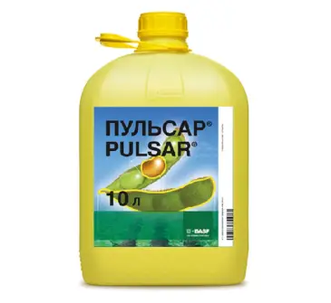 ПУЛЬСАР