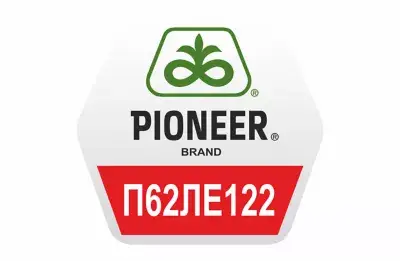 Pioneer П62ЛЕ122