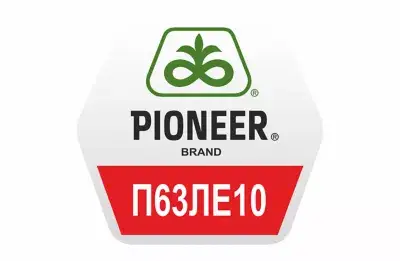 Pioneer П63ЛЕ10