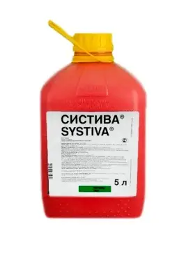 Систива